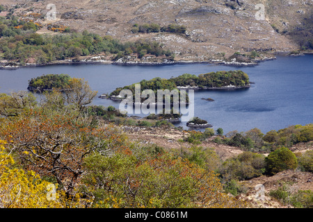 Ladies View, Upper Lake, Killarney National Park, County Kerry, Ireland, British Isles, Europe Stock Photo