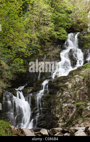 Torc Waterfall, Killarney National Park, County Kerry, Ireland, British Isles, Europe Stock Photo