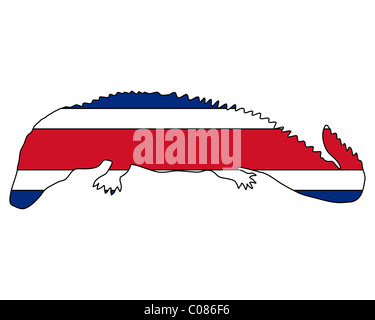 Caiman Costa Rica Stock Photo - Alamy