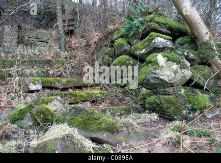Moss covered, sandstone steps leading down to the river from a dilapidated building. Stock Photo
