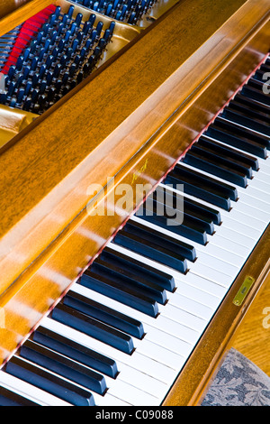 Abstract image of a partial piano keyboard Stock Photo