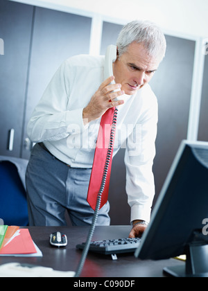 portrait of mature business man talking on the phone, looking at computer screen. Stock Photo