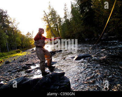 Woman fly fishing for Rainbow trout on the Russian River, Kenai Peninsula, Southcentral Alaska, Autumn Stock Photo