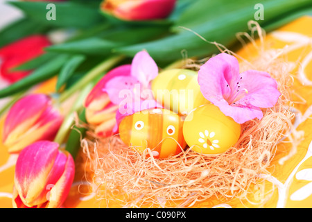 Easter eggs with tulips for spring table decoration Stock Photo