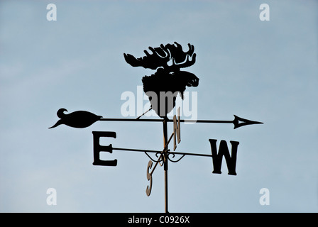 Close up of a weathervane with a moose head, Mat-Su Valley, Southcentral Alaska, Summer Stock Photo
