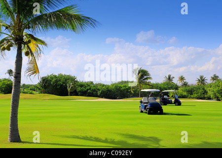 golf course tropical palm trees in mayan riviera Mexico Stock Photo