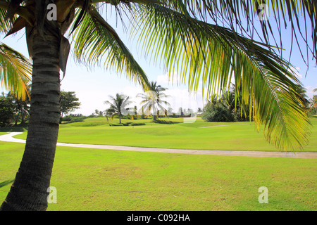 golf course tropical palm trees in cancun Mexico Stock Photo