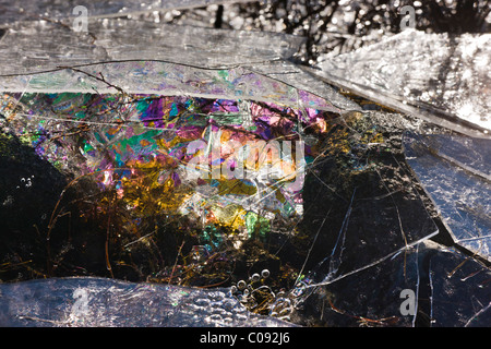 Close up detail of ice  patterns in a frozen meltwater pond caused by a sudden change in water level, Denali Highway, Alaska Stock Photo