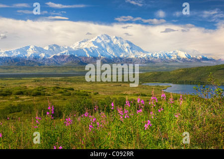 View of Mt. McKinley on a sunny day with McKinley River and Wonder lake in the foreground, Denali National Park, HDR Stock Photo