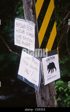 A sign posted on a pole near Bear Creek Weir cautions against bears in the area, Seward, Kenai Peninsula, Southcentral Alaska Stock Photo