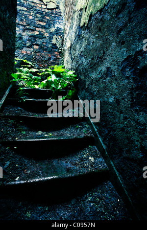 Eerie steps in a derelict building. Stock Photo