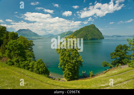 View over Lake Lucerne on Mt. Buergenstock and Mt. Stanserhorn, Vitznau, Canton Lucerne, Switzerland, Europe Stock Photo