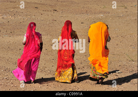 Women wearing colourful saris, Thar Desert, Rajasthan, India, Asia