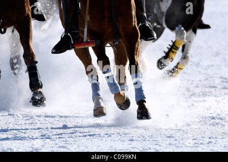 Polo players battling for the ball, polo horses galloping across the snow, Snow Arena Polo World Cup 2010 polo tournament Stock Photo