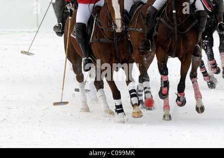 Polo players battling for the ball, polo horses galloping across the snow, Snow Arena Polo World Cup 2010 polo tournament Stock Photo