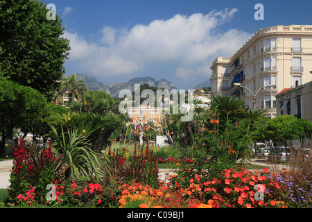 Jardins Biovès park and botanical garden, Menton, Département Alpes Maritimes, Région Provence Alpes Côte d'Azur, France Stock Photo