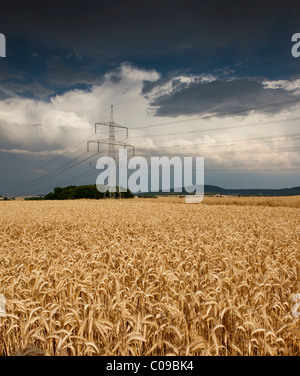 Thick storm clouds gathering over a field of rye, Bavaria, Germany, Europe