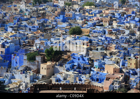 Brahmapuri, Blue City, settlement of Brahmins, district of Jodhpur, Rajasthan, India, Asia Stock Photo