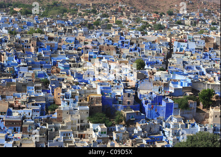 Brahmapuri, Blue City, settlement of Brahmins, district of Jodhpur, Rajasthan, India, Asia Stock Photo