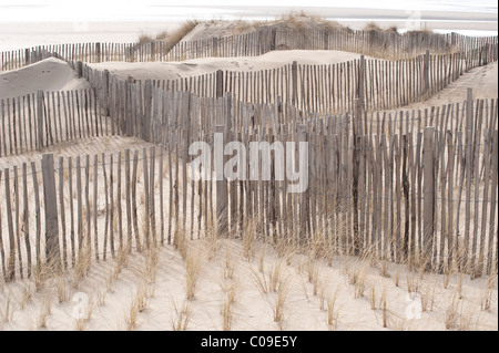 fences with marram grass growing in side Stock Photo