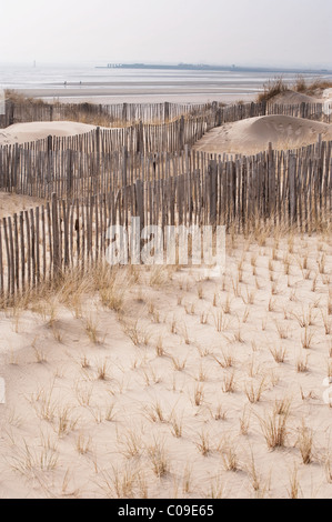 fences with marram grass growing in side Stock Photo