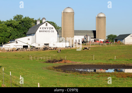 A dairy farm in Illinois reflects in the morning sun. South Elgin, Illinois, USA. Stock Photo