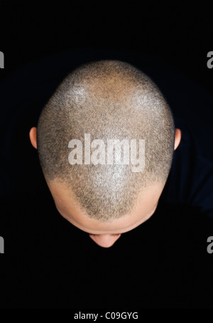 Close-up of a shaved head of a man Stock Photo