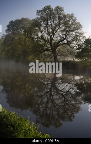 Morning mist on the banks of the river Dee in Eccleston Chester Cheshire Stock Photo