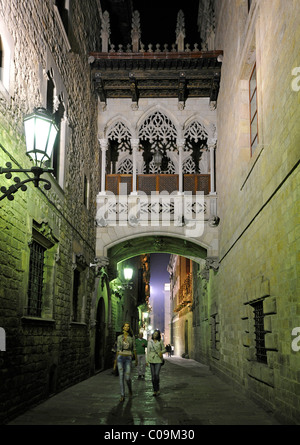 Night shot, Barcelona's Bridge of Sighs, side facade of the Carrer del Bisbe, Gothic cathedral of La Catedral de la Santa Creu i Stock Photo