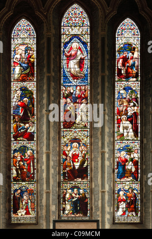 Stained glass church window in the choir, St. Cainnech Cathedral or St. Canice's Cathedral, Kilkenny, County Kilkenny, Ireland Stock Photo