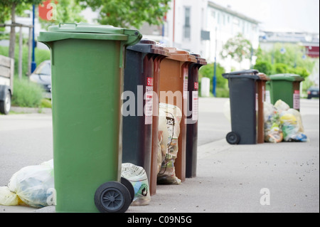green rubbish bolsas rodney