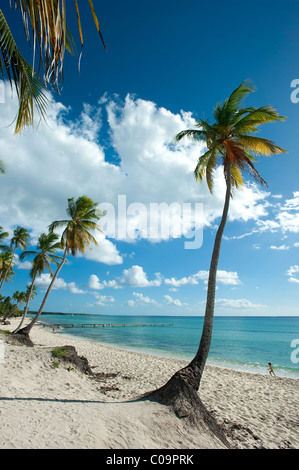 Bayahibe Beach in front of Gran Dominicus, Dominican Republic Stock Photo