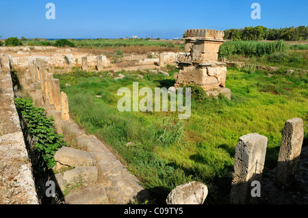 Phoenician water temple at the archeological site of Amrit near Tartus, Tartous, Syria, Middle East, West Asia Stock Photo