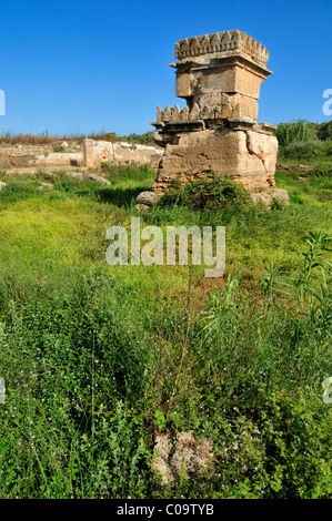Phoenician water temple at the archeological site of Amrit near Tartus, Tartous, Syria, Middle East, West Asia Stock Photo