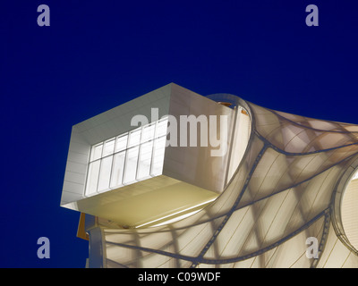 Details of the new branch of the Paris Centre Pompidou in Metz, Lorraine, France, Europe Stock Photo