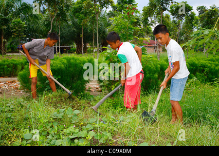 Children gardening in the vegetable garden, Margaritha children's home, Marihat, Batak region, Sumatra island, Indonesia, Asia Stock Photo