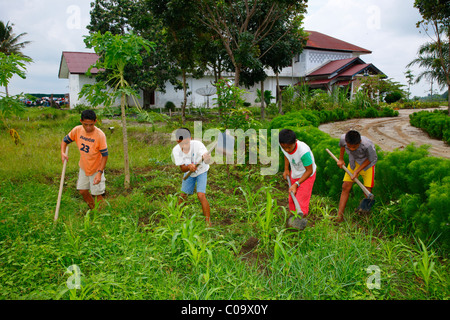 Children gardening in the vegetable garden, Margaritha children's home, Marihat, Batak region, Sumatra island, Indonesia, Asia Stock Photo