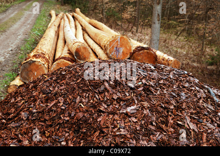 Peeled bark, in the back the peeled spruce logs (Piceoideae) Neunhof, Middle Franconia, Bavaria, Germany, Europe Stock Photo