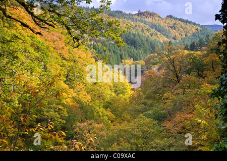 Autumn in the Gwydyr Forest, Snowdonia National Park, North Wales, UK Stock Photo