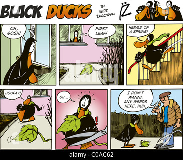 Black Ducks Comic Strip episode 61 Stock Photo