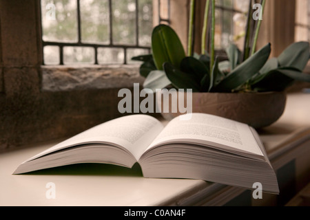 Open book on windowsill Stock Photo