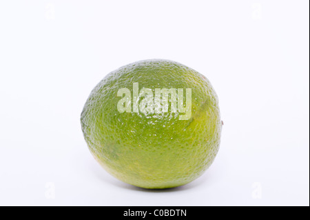 A lime fruit on a white background Stock Photo