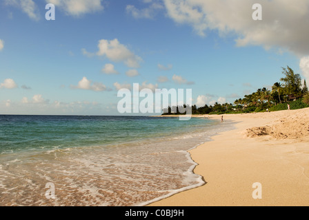 Tropical Island Beach Stock Photo