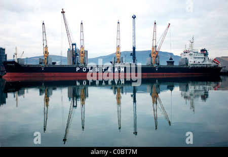 Cranes lift coal from a Polish freight ship in Belfast Harbour, Northern Ireland, next to the new Titanic Quarter. Stock Photo