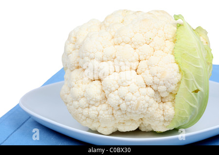 Fresh raw cauliflower head on a plate Stock Photo