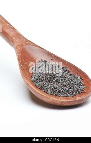 Close-up of poppy seed ((Papaver somniferum) on white background Stock Photo