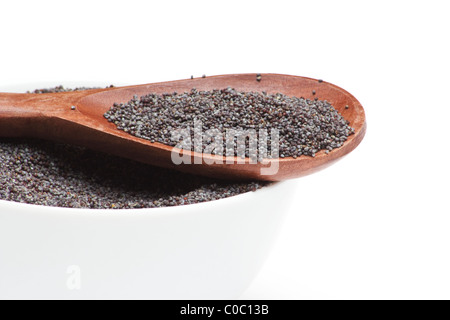 Close-up of poppy seed ((Papaver somniferum) on white background Stock Photo