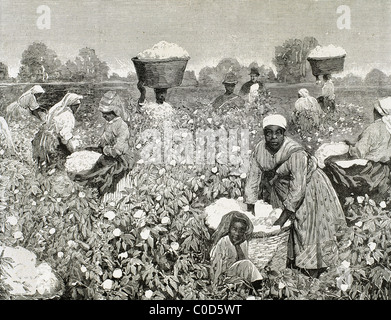 United States. Picking cotton. Engraving 1878. Stock Photo