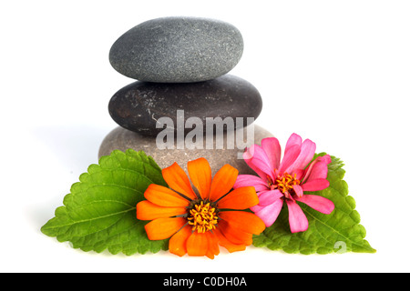 Stacked stones with flowers Stock Photo