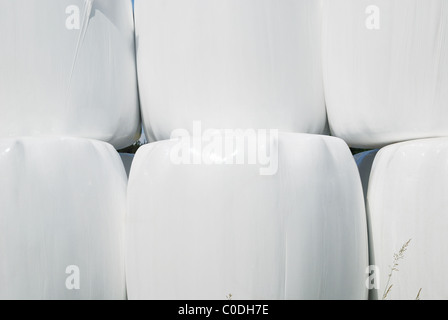Close up of agricultural stack with straw bales packaged Stock Photo